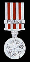 Distinguished Service Medal (DSM)