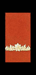Commendation for Gallantry