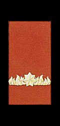 Commendattion for Gallantry
